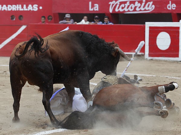 En peligro Rodrigo Santos