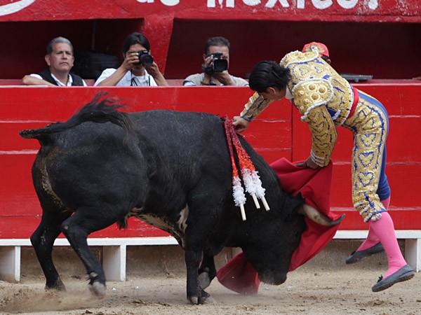 En todo lo alto del morrillo