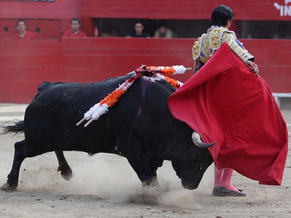 Tremendo incio de faena