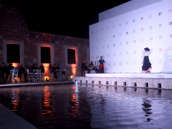 El espect�culo flamenco