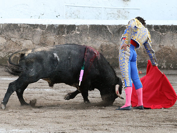 temple y plasticidad