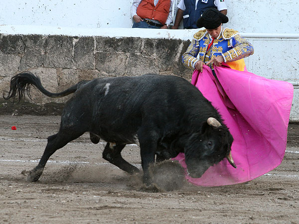la media de Aparicio