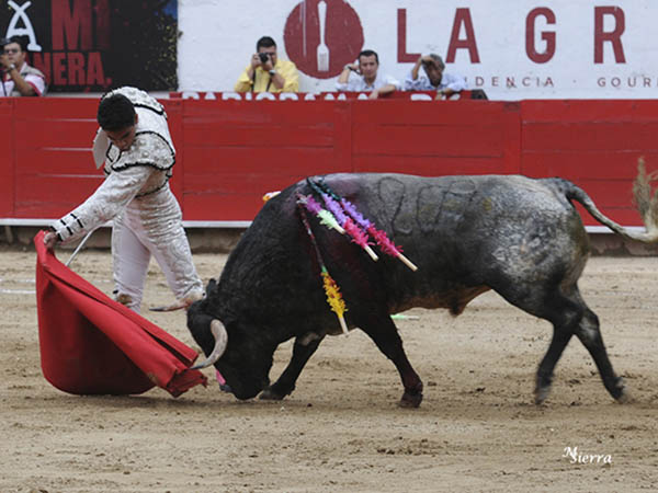 Tirando del c�rdeno