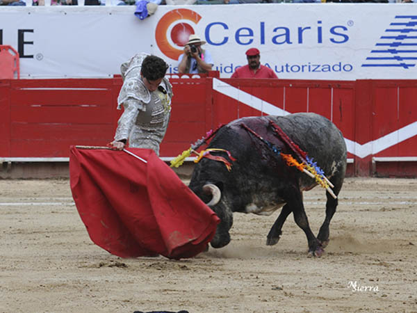 Tanda por el derecho