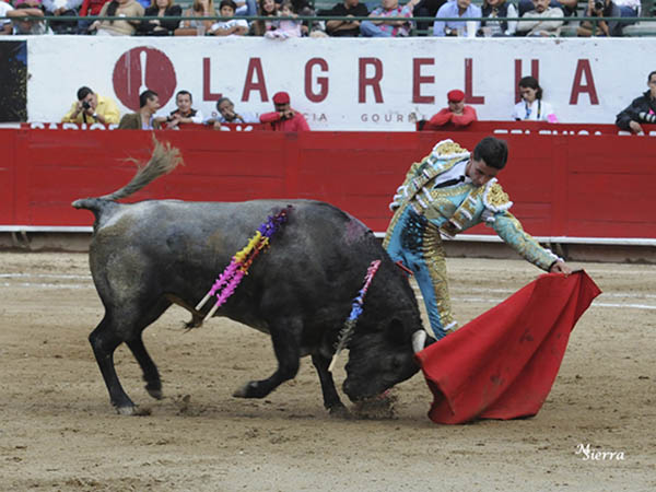 Rob� muletazos de m�rito