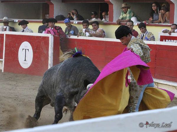 Saludo a la ver�nica