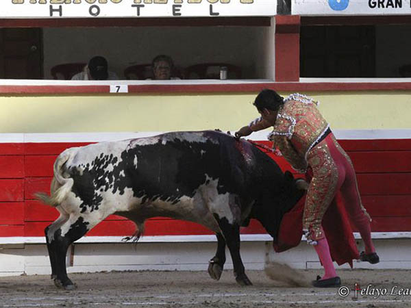 Estoconazo de Angelino