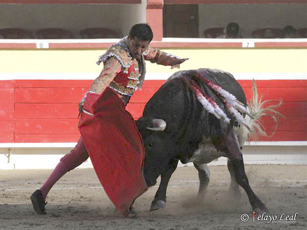 Circulares en los medios