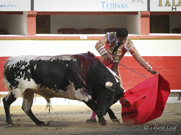 Ayudados tlaxcaltecas