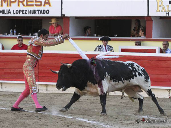 Un par sobre las rayas