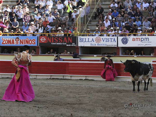 Cite a media distancia