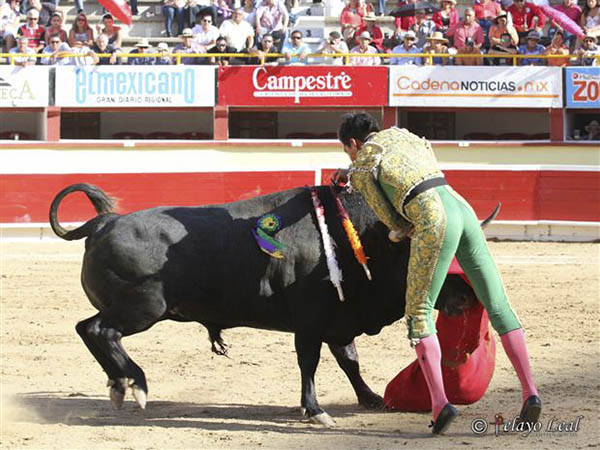 En medio de los pitones