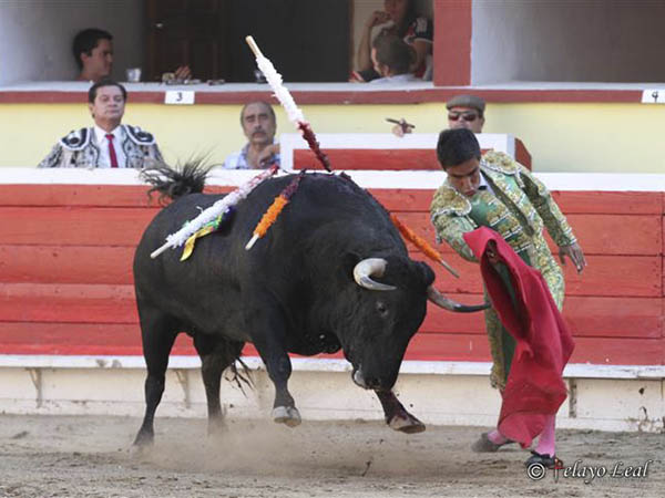 Calibrando al astifino