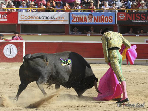 El temple de Antonio Romero