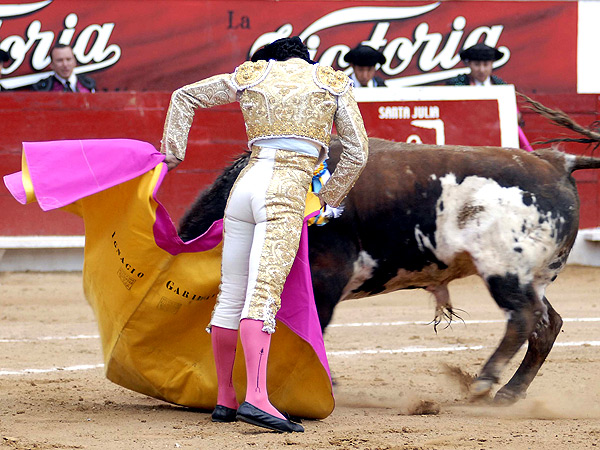 Sedosa media ver�nica