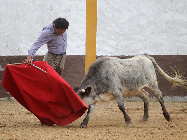Un torero en plena madurez
