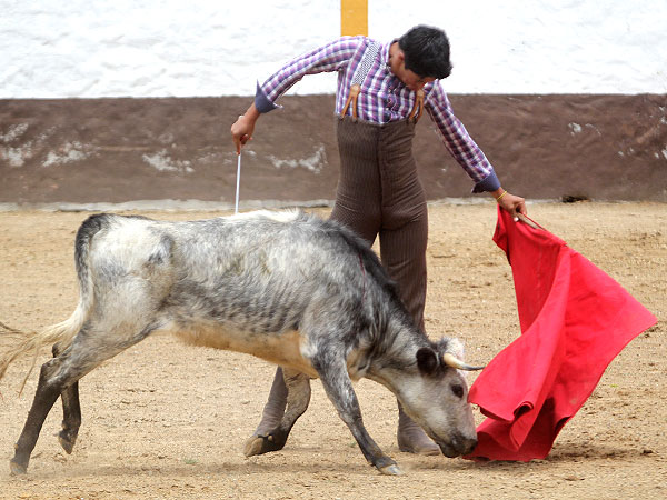 Sergio Flores en torero