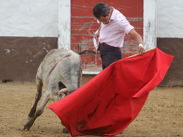 Eso que llaman tersura