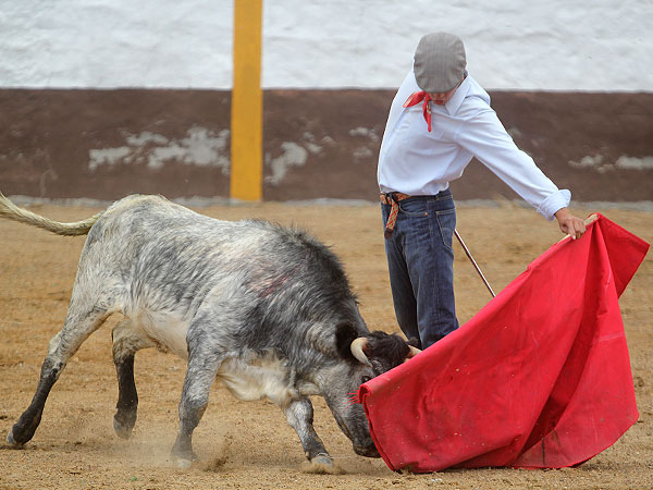 El novillero Gerardo S�nchez