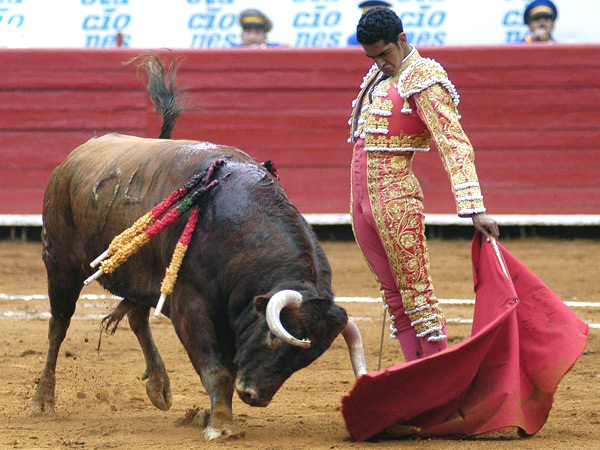 Mayest�tico (Foto: Berumen)