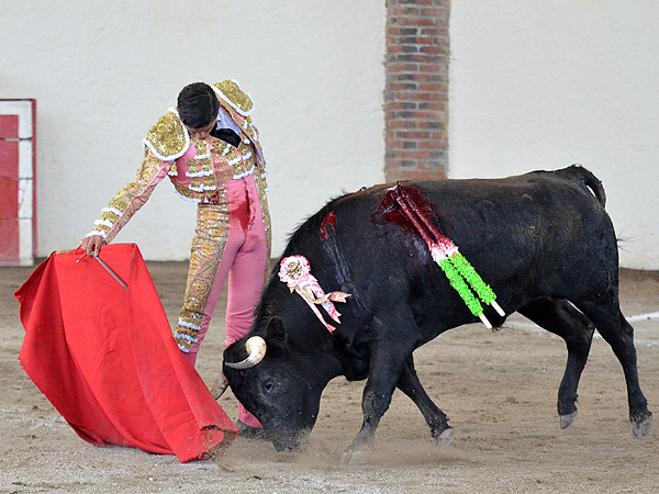 Suavidad en el trazo