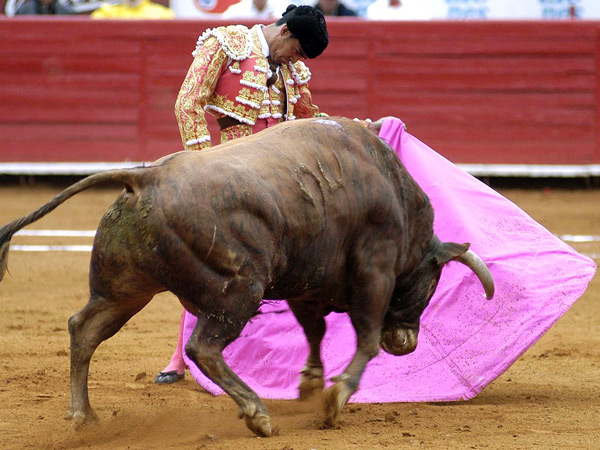 La ver�nica (Foto: Berumen)