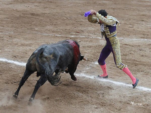 Adorn�ndose con las cortas