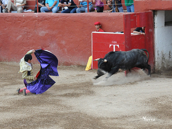 Rom�n Mart�nez, a por todas