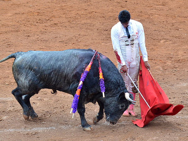 Desde�oso final de faena