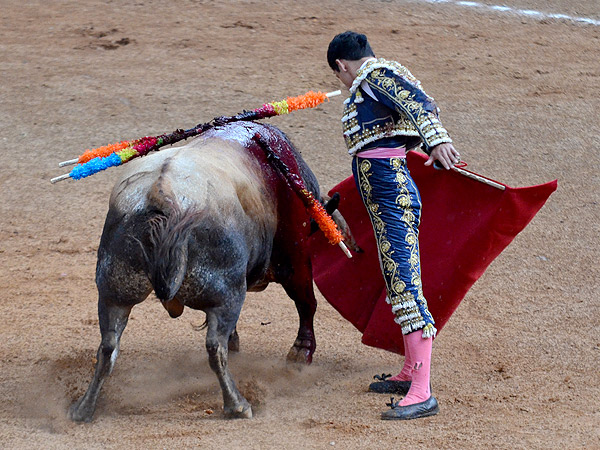 Xavier, ech�ndole tipo