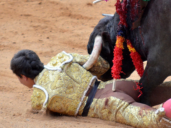 El pit�n en el sobaco