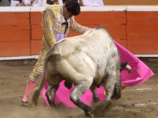 Angelino artista del percal