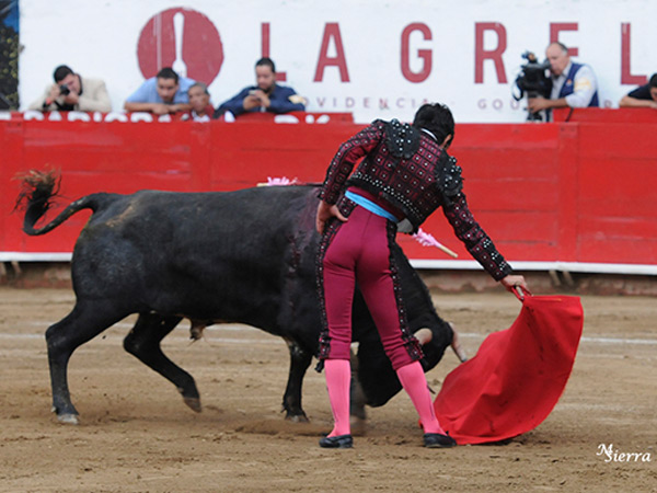 Componiendo la figura