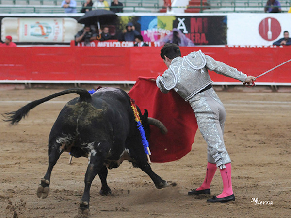 En el inicio de la faena