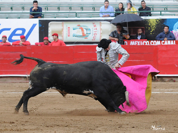 Media ver�nica del hidroc�lido