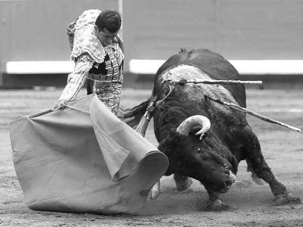 Embest�a con pujanza