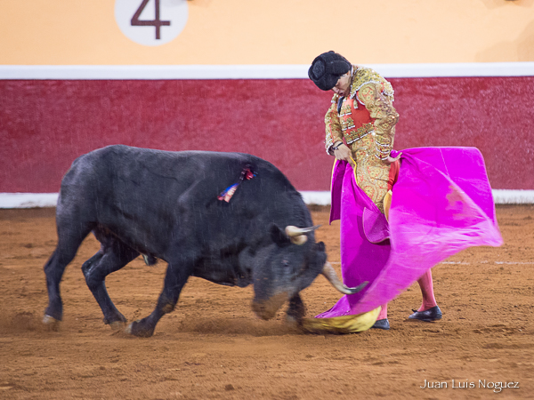 Bonita media de Adame