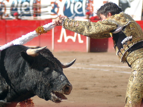 Agilidad de juventud