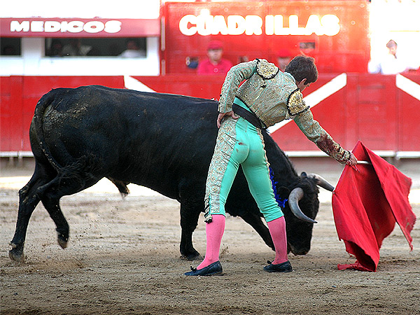 Forzando la embestida