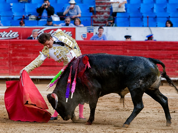 Metido en el enga�o