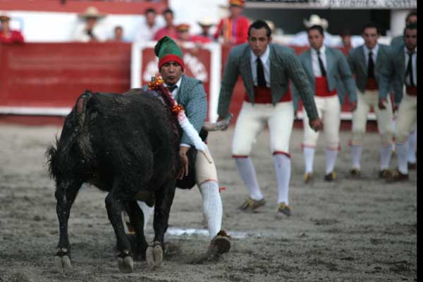 Los Forcados Queretanos
