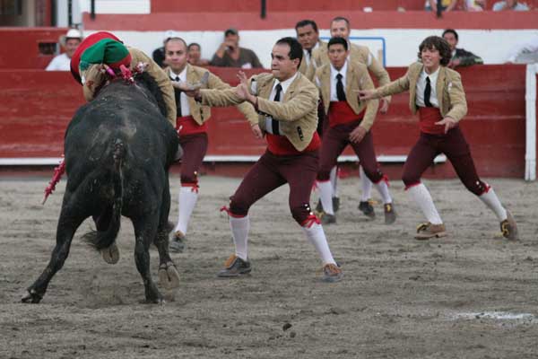 Los Amadores de Hidalgo
