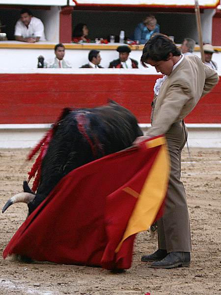 Para un cuadro, Llaguno