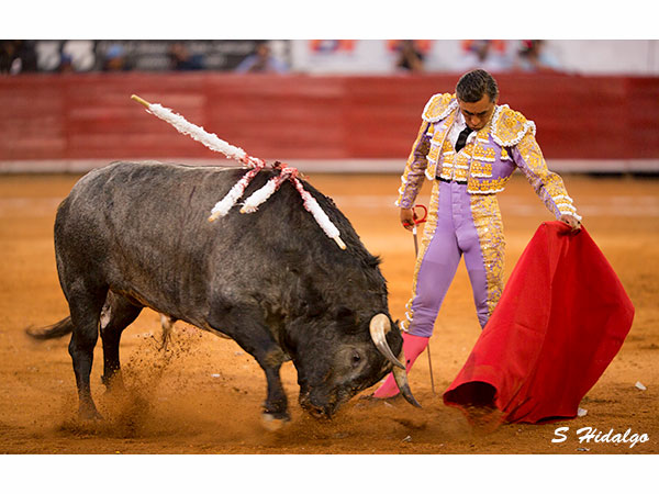 Zotoluco, sin suerte