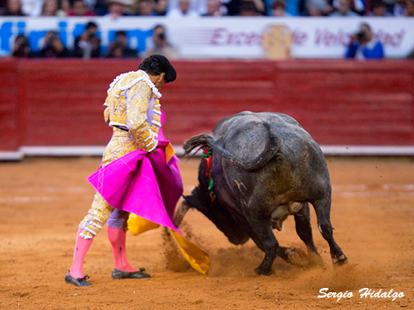 Aguantando la embestida