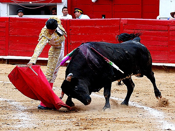 La presentaci�n de Sergio Flores