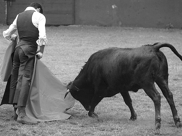 Conduciendo con suavidad