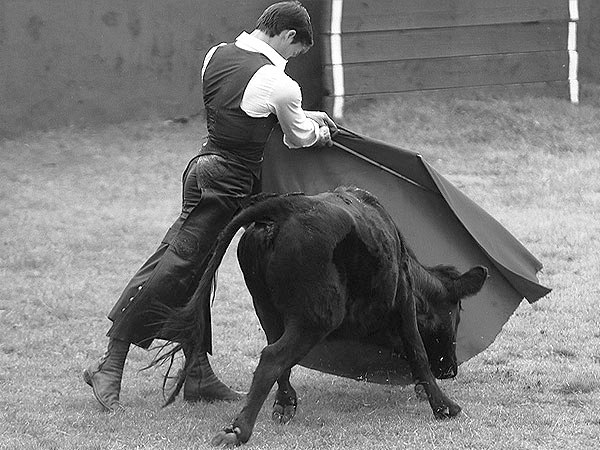 Toreando con las muecas