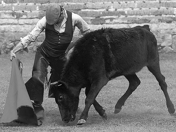 Elegancia y reciedumbre