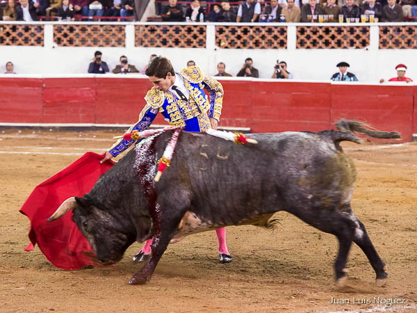 Armillita IV con su primero